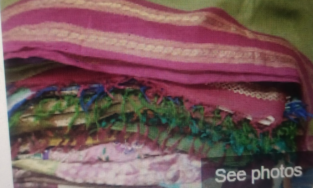 Sri Kanchi - Old Kanchi Pattu Saree Buyers In Hyderabad